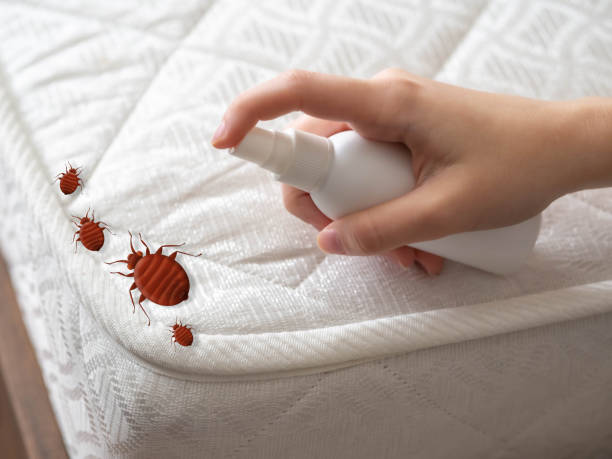 Pest Control for Hotels in South Monroe, MI